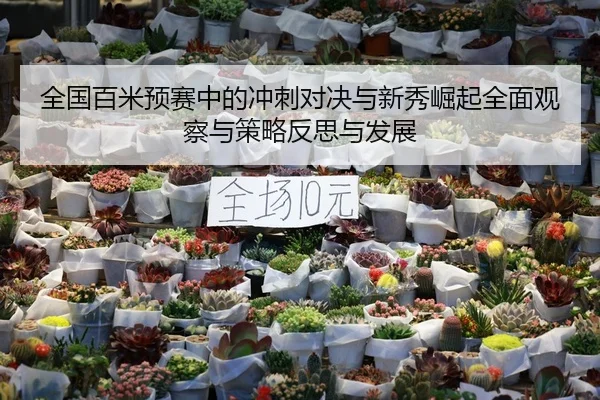 全国百米预赛中的冲刺对决与新秀崛起全面观察与策略反思与发展
