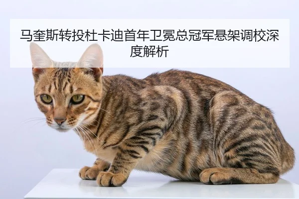 ma-kui-si-zhuan-tou-du-ka-di-shou-nian-wei-mian-zong-guan-jun-xuan-jia-diao-xiao-shen-du-jie-xi-2-388.jpg